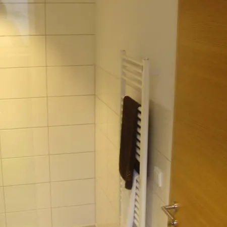 Apartamento Saler Silbertal